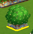 Prune Trees.png