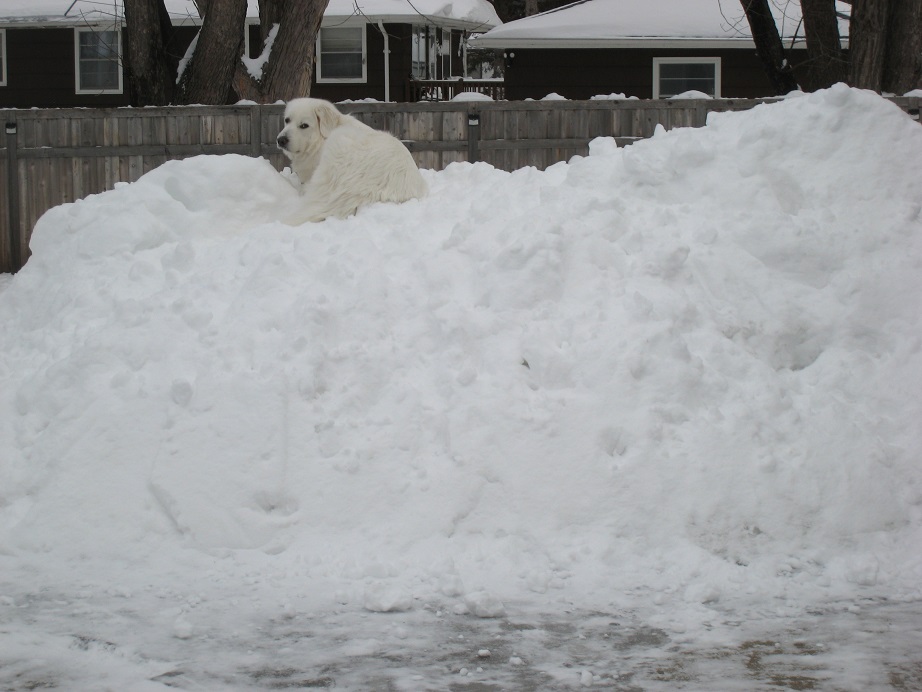 SnowPIle.jpg